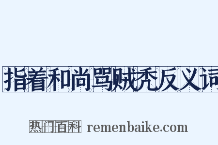 指着和尚骂贼秃反义词是什么意思的图片
